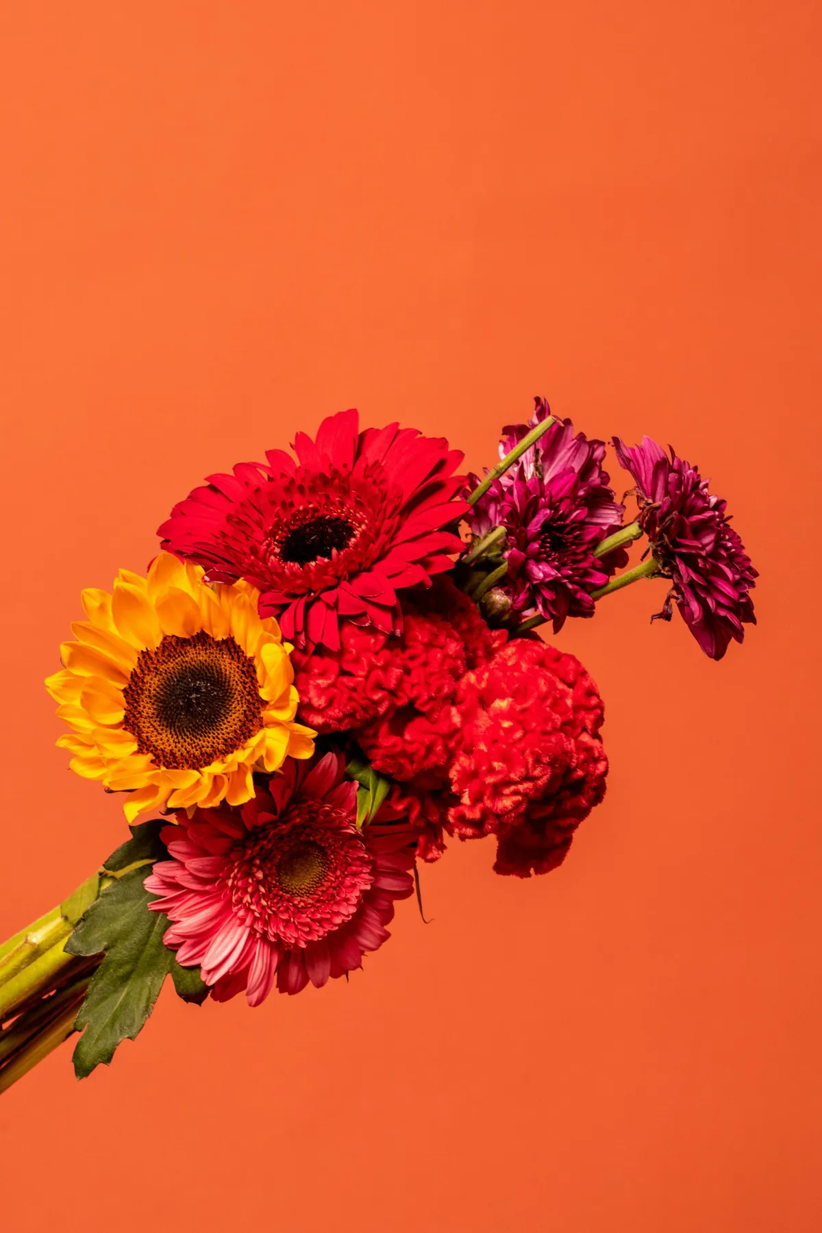 Colorful bouquet on orange backdrop.